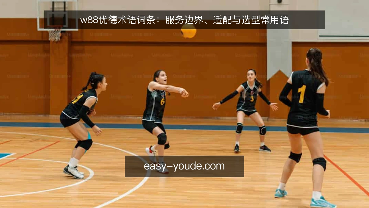 w88优德术语词条：服务边界、适配与选型常用语